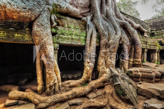 Bild på Ancient ruins and tree roots Ta Prohm temple Angkor Cambodia 